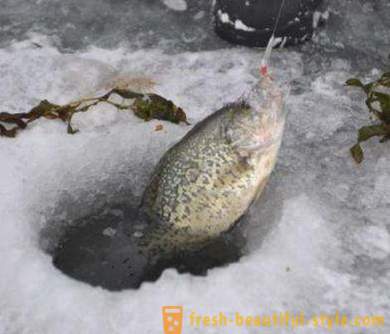 Winter bream. Tackle for winter fishing of bream