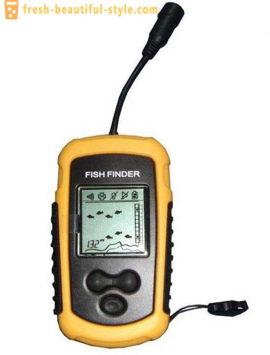 How to choose a sounder for fishing from the shore. Reviews of fishermen and experts