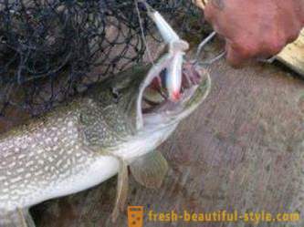 The best lures for pike. Rating wobblers