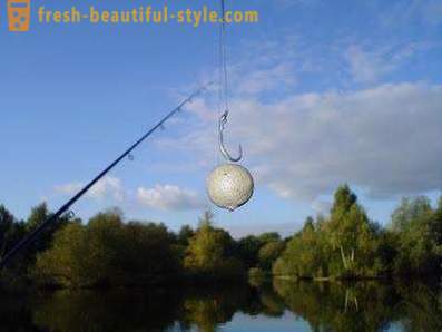 How to plant bait? Boilies for carp. fishing tips