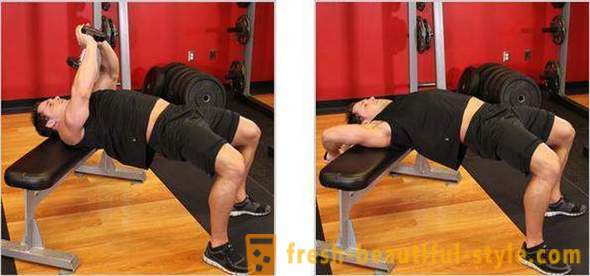 Training pectoral muscles: how to do the exercises. The training program on the pectoral muscles