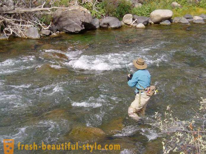 Chub fishing: ways of bait. Catching chub summer