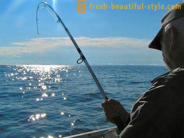 I like to fish? Fishing on the lake, the river and the sea. How to fish with spinning?