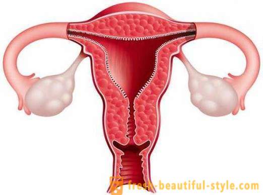 How to increase the endometrium