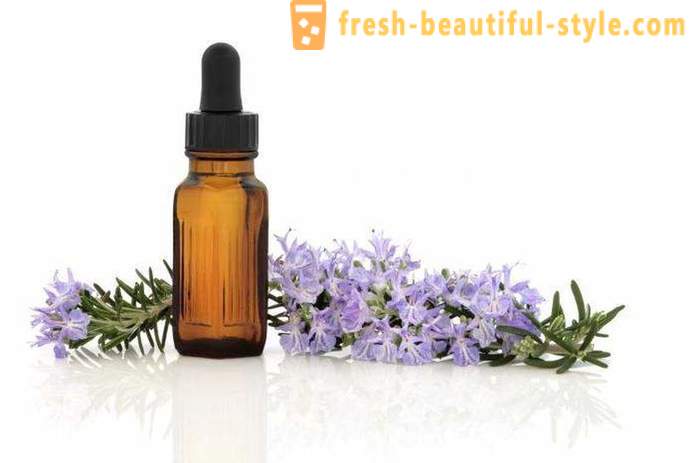 Rosemary essential oil: application and useful properties
