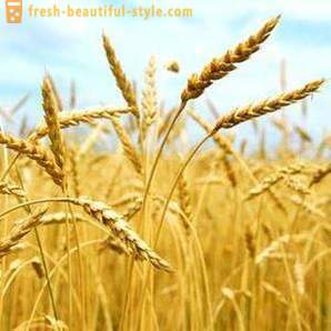 Wheat germ oil - your elixir of youth!