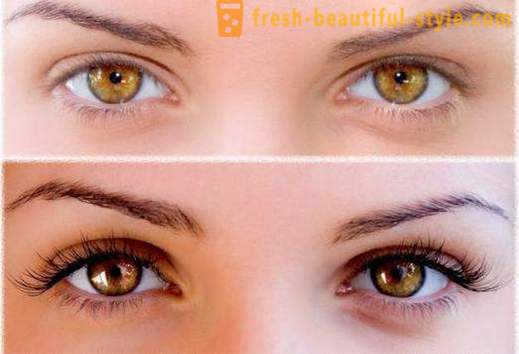 How to lengthen the eyelashes at home - hit expressive eyes!