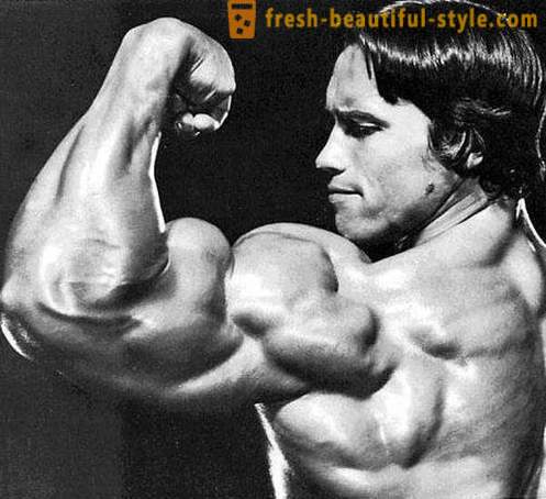 Exercises for biceps simple and effective